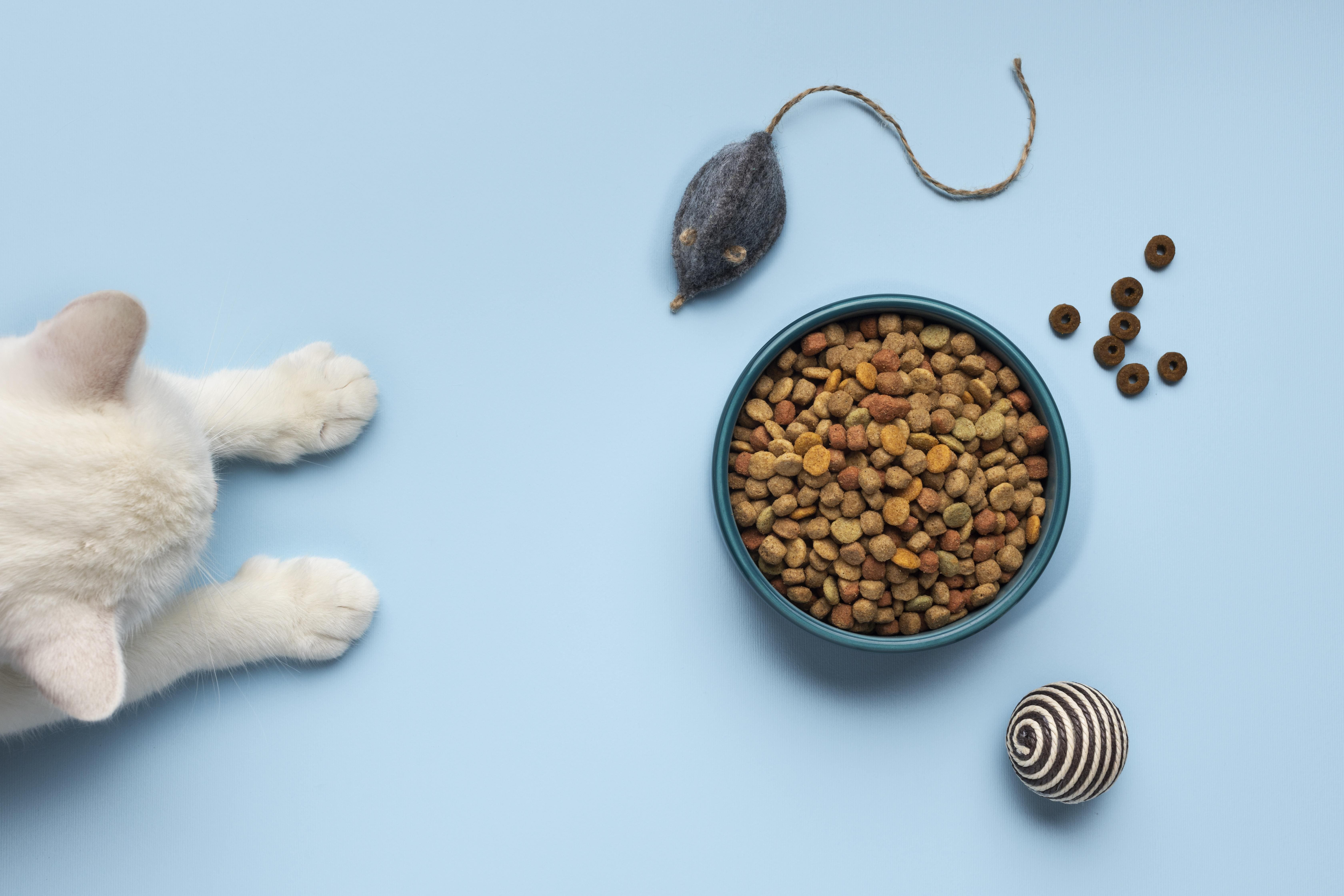 Best Dry Food For Cats UK 2024 Reviews - Your Pet Mate
